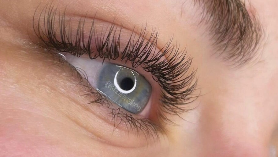 Shain Lashes billede 1