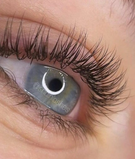 Shain Lashes billede 2