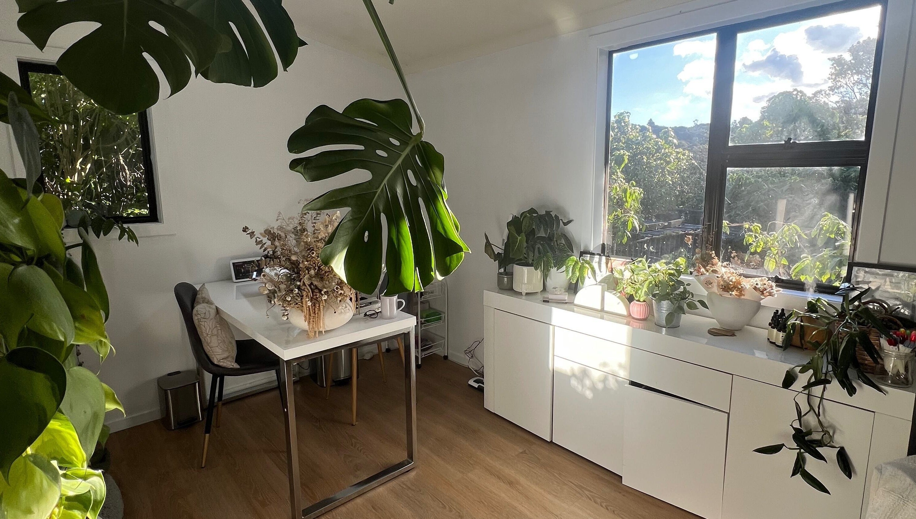 Bright, plant-filled corner at Raglan Nails, Raglan, Waikato, NZ, offering a tranquil beauty and wellness environment.