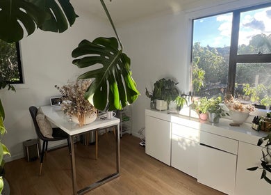 Bright, plant-filled corner at Raglan Nails, Raglan, Waikato, NZ, offering a tranquil beauty and wellness environment.