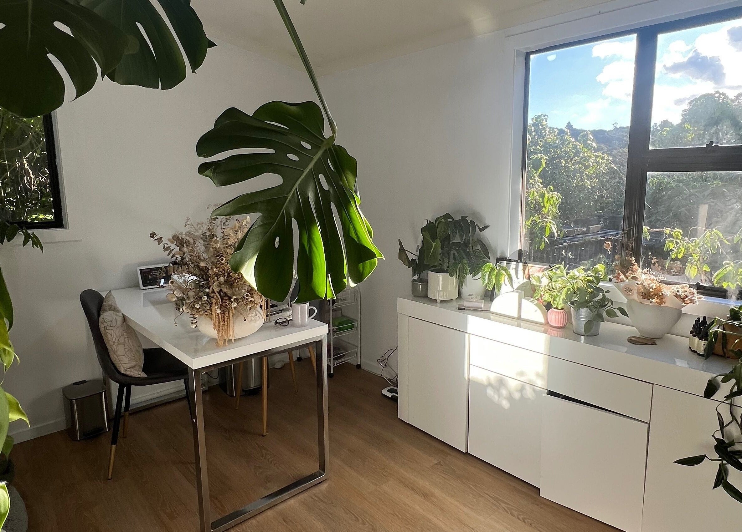 Bright, plant-filled corner at Raglan Nails, Raglan, Waikato, NZ, offering a tranquil beauty and wellness environment.