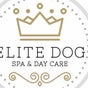 Elite Dog Spa Bishopbriggs - Glasgow, UK, 164 Woodhill Road, Bishopbriggs, Scotland