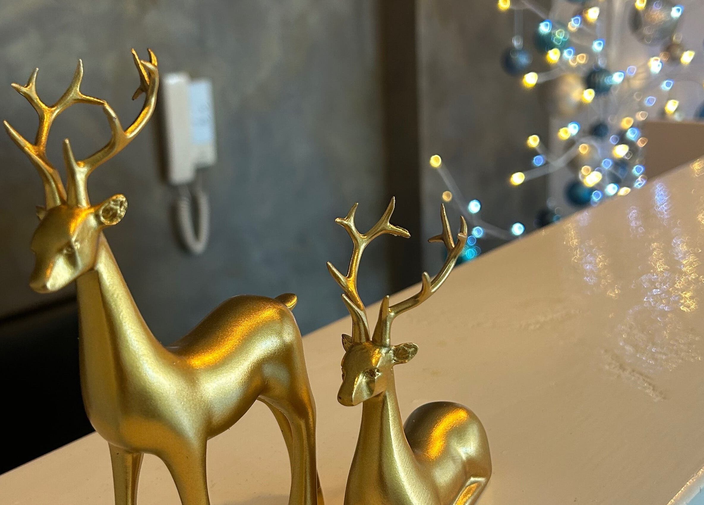 Golden deer figurines add elegance to Be Beautiful by Alex, Glenfield, England, GB.