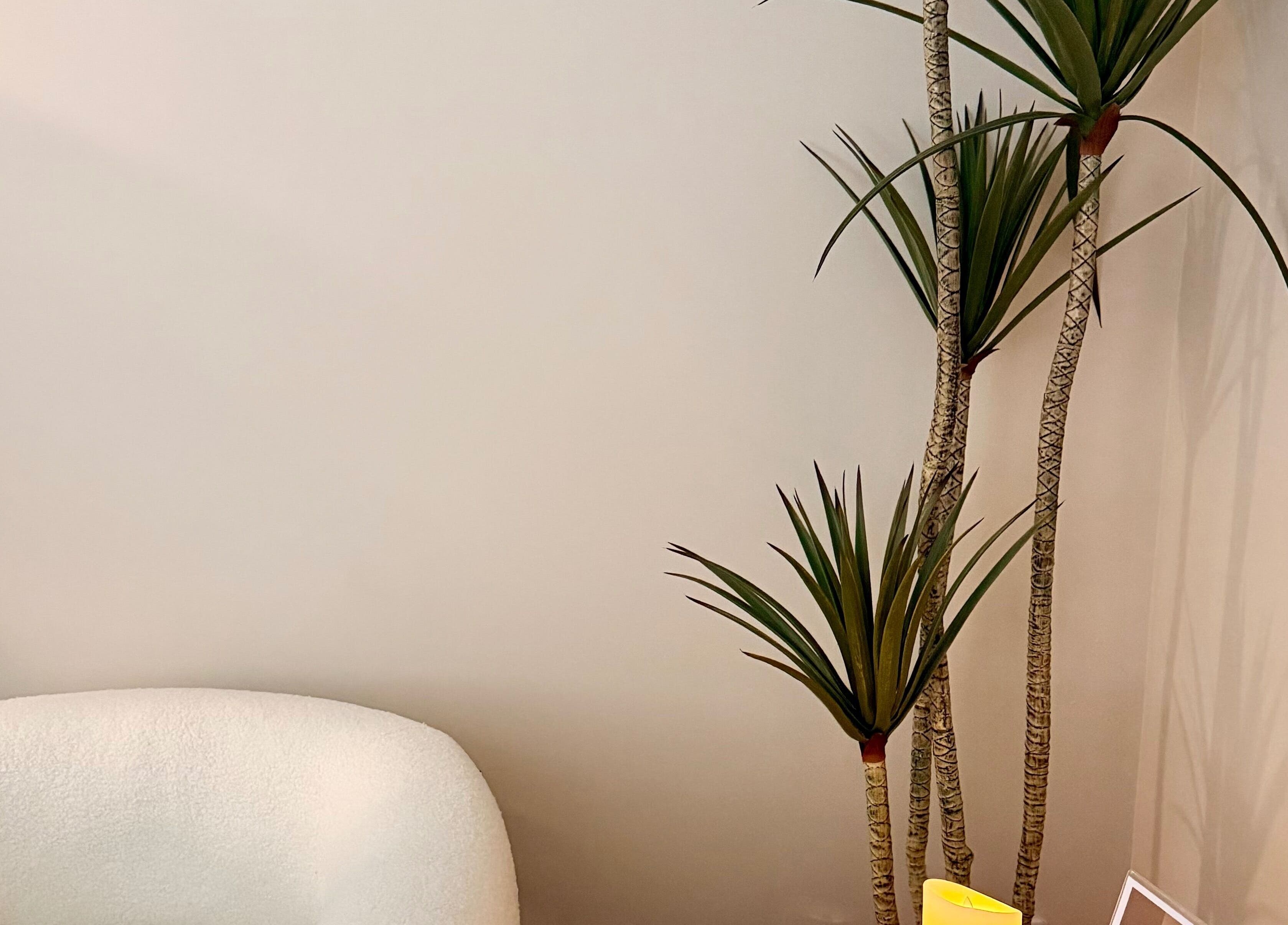 Relaxing chair and plant at Beauty Lab in Drogheda, IE, offering calm and serene wellness ambiance.