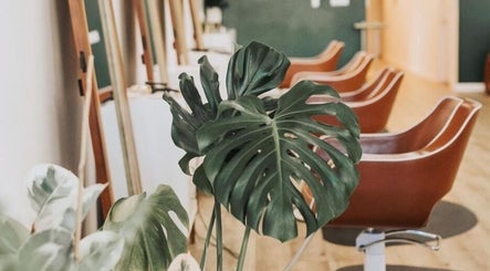 Fern & Ivy Hair Haus