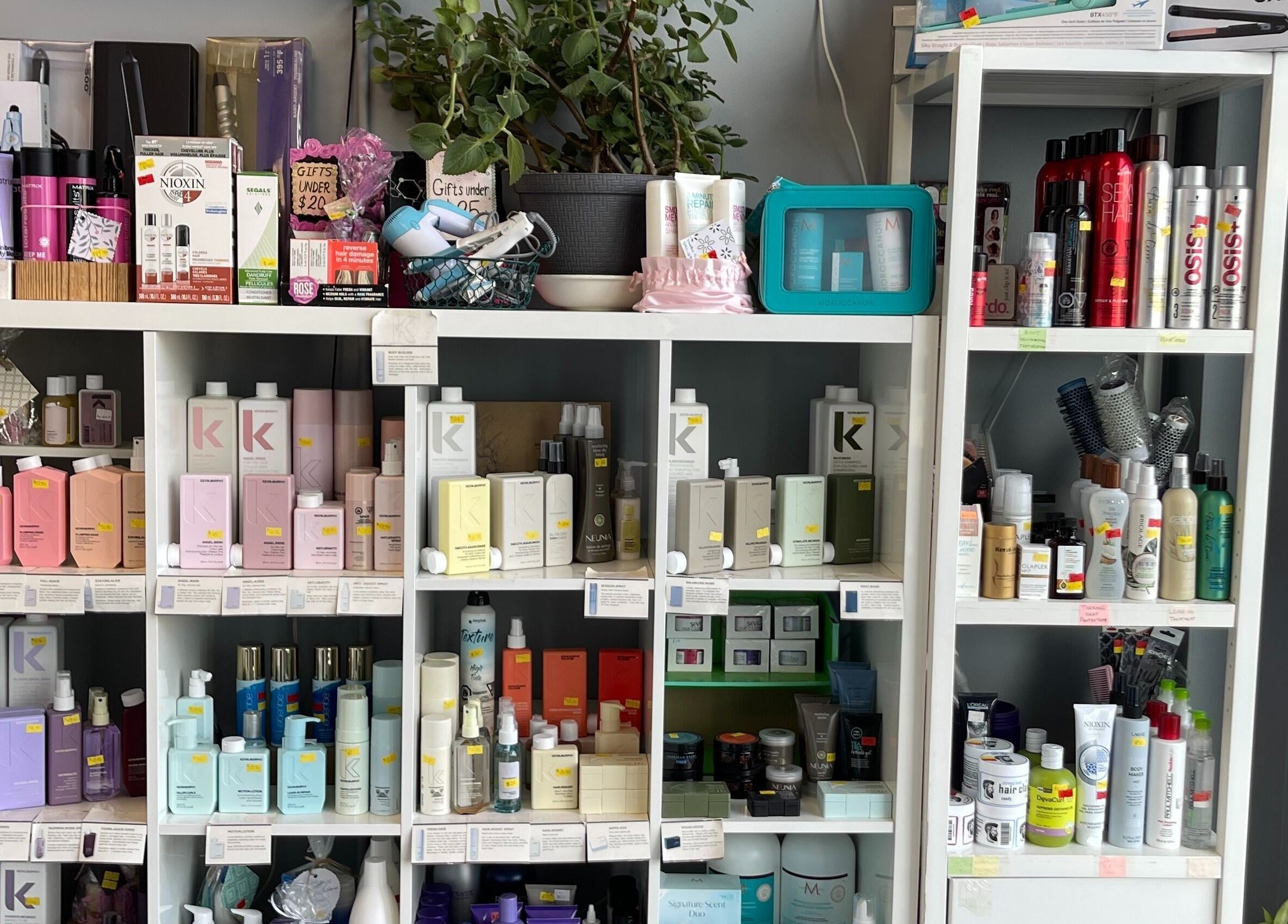 Product shelves at Si Salon and Spa in Edmonton, Alberta, CA showcasing premium hair and skincare items.