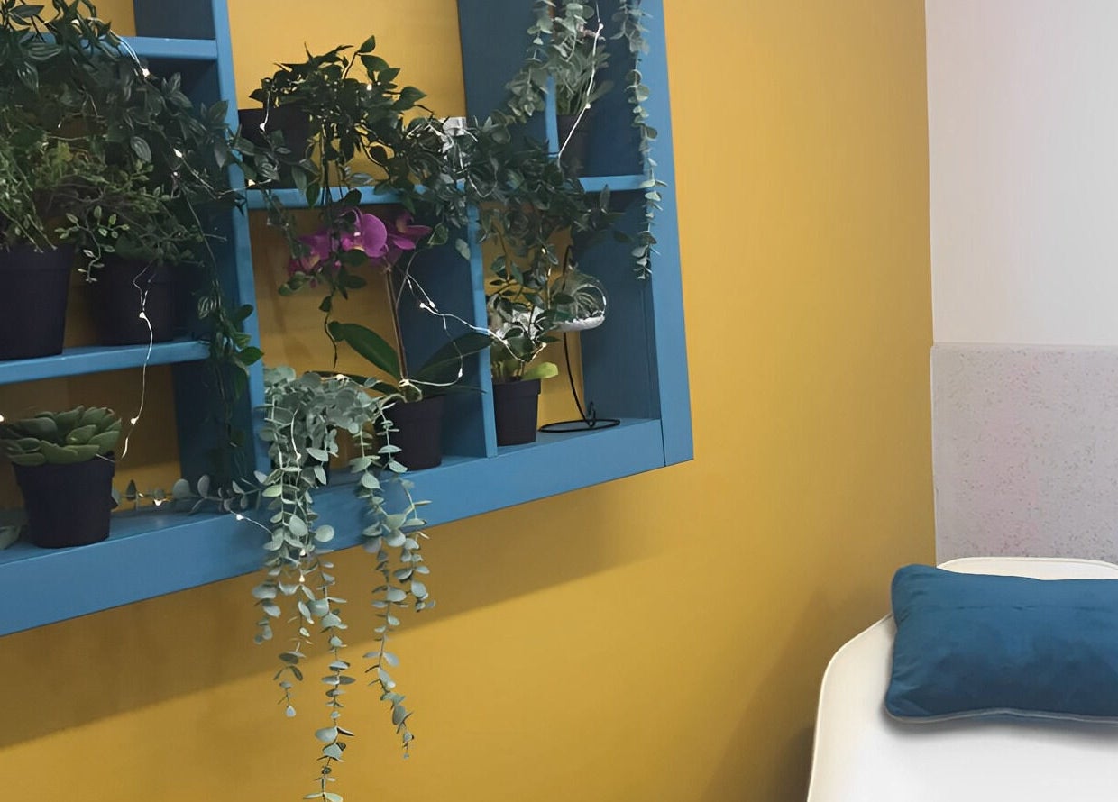 Beautiful plant display in a vibrant room at The Beauty Den, Baldock, England, GB.