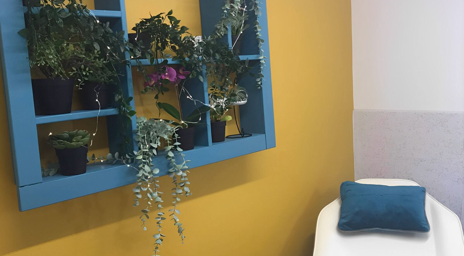 Beautiful plant display in a vibrant room at The Beauty Den, Baldock, England, GB.