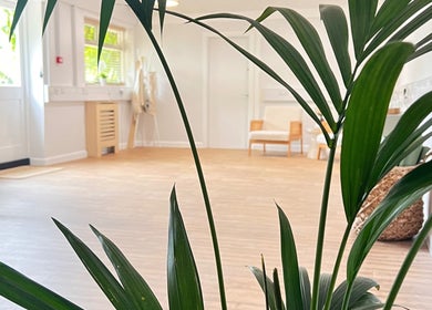 Bright, peaceful room at Alma Wellbeing Barn in Bourn, England, GB with natural light and leafy plants.