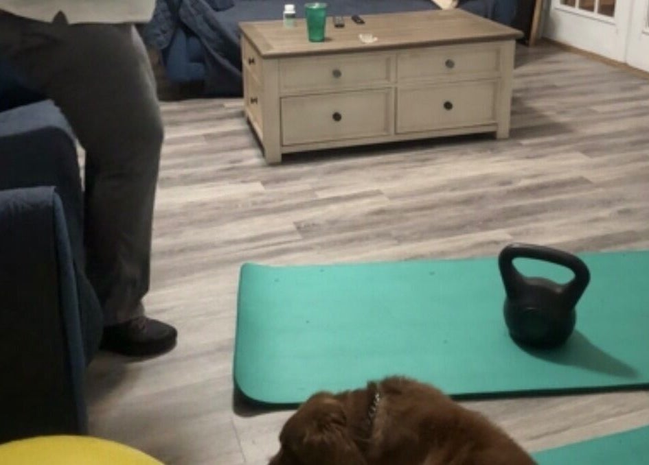Cozy wellness room at Marks Peak Form in Howell, Michigan, US with mat, kettlebell, and pet-friendly ambiance.