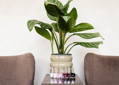 Lani Nails London nail color display between cozy chairs in a tranquil setting. Located in London, GB.
