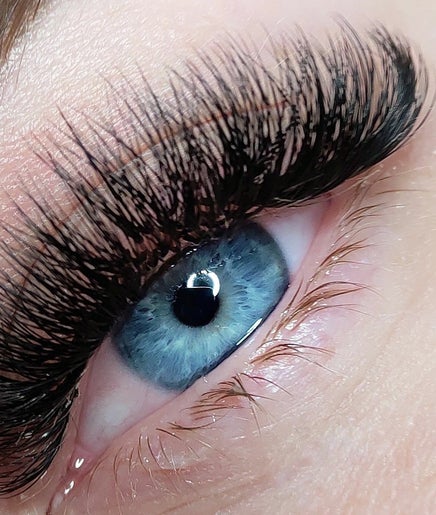 The Eyelash Hub image 2