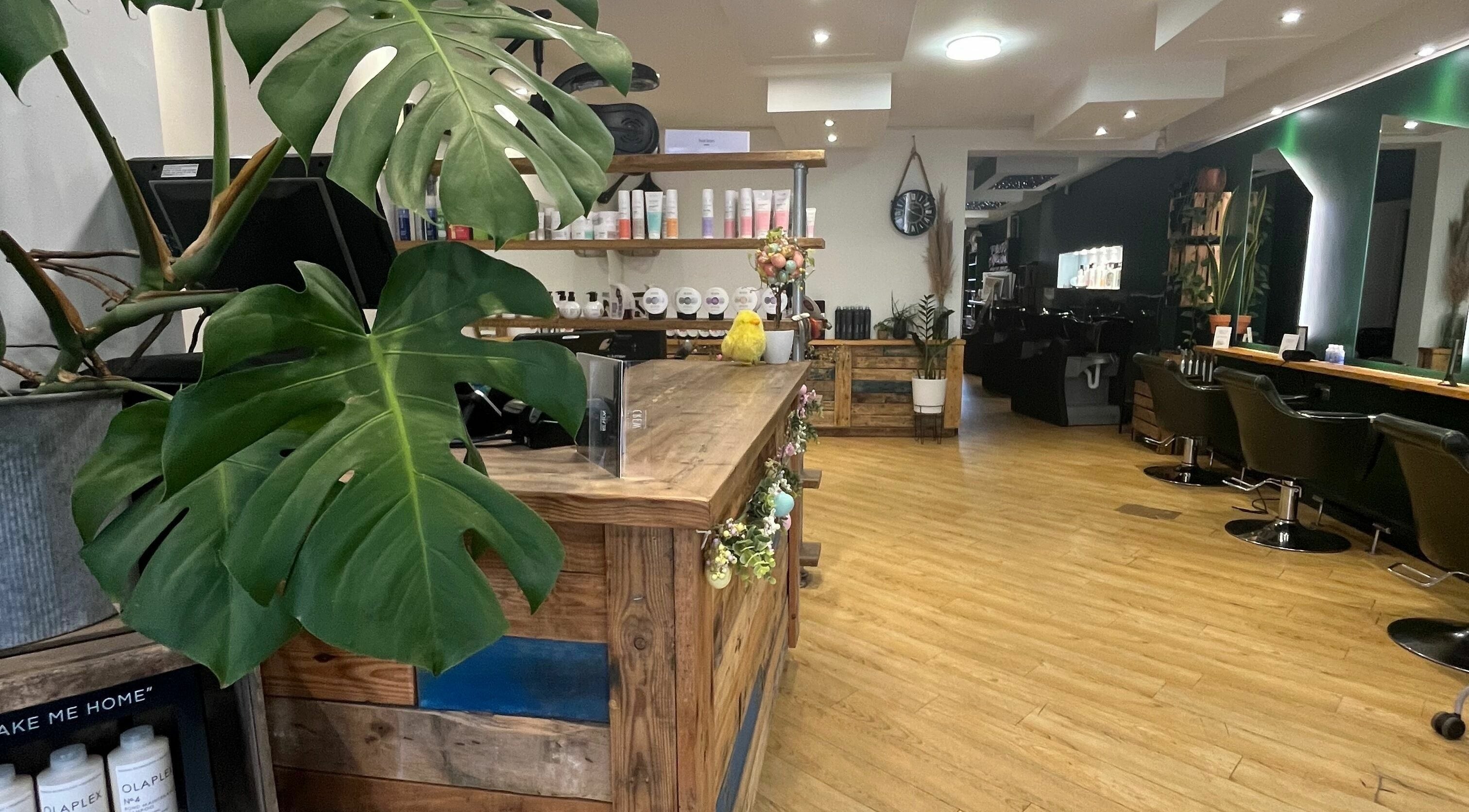 Spacious and stylish interior of Hall of Hair, Lostock Hall, England, GB showcasing wooden decor and modern salon chairs.