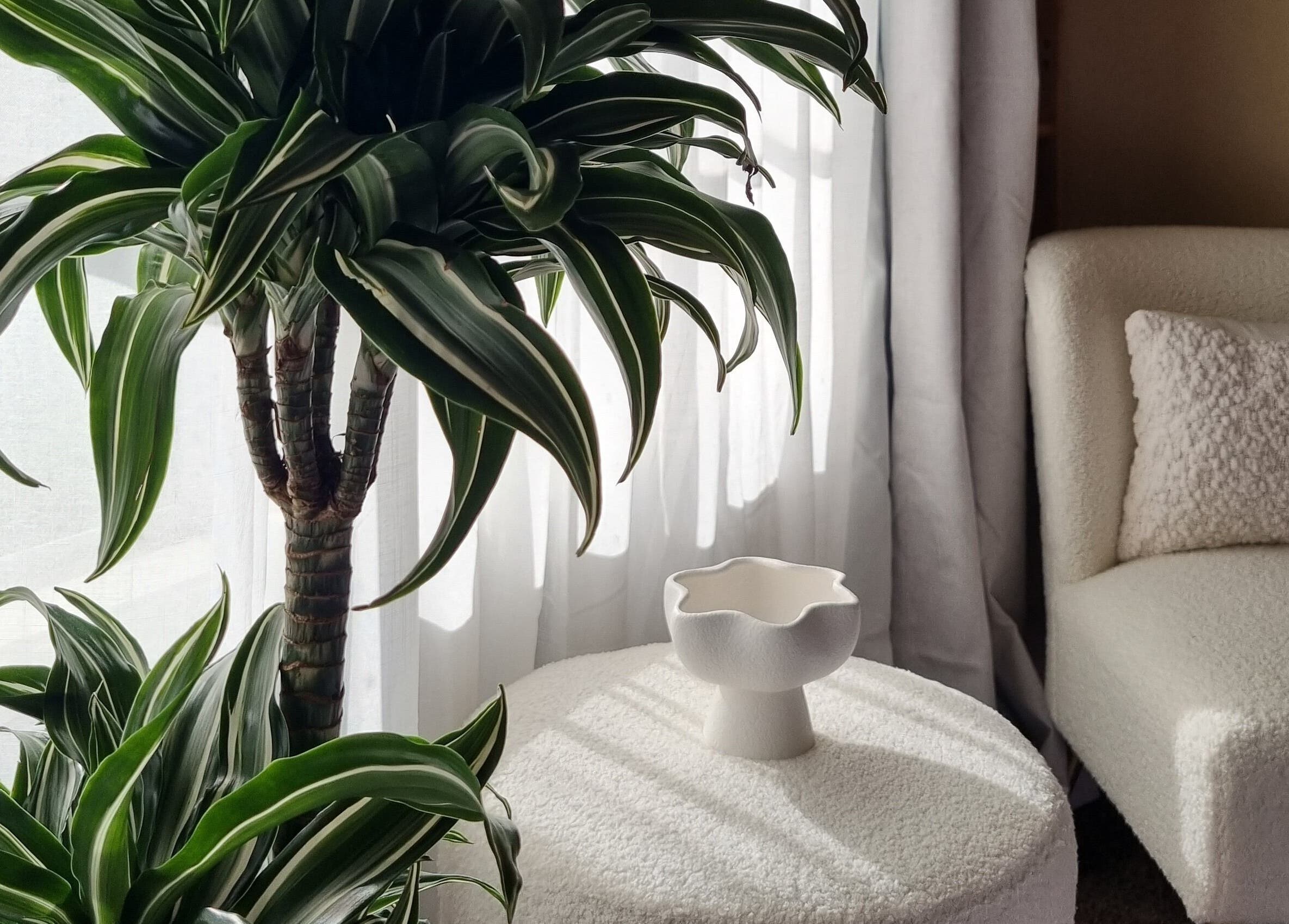 Peaceful corner with green plant and cozy seating at Haven For Self, Hamilton, Waikato, NZ.