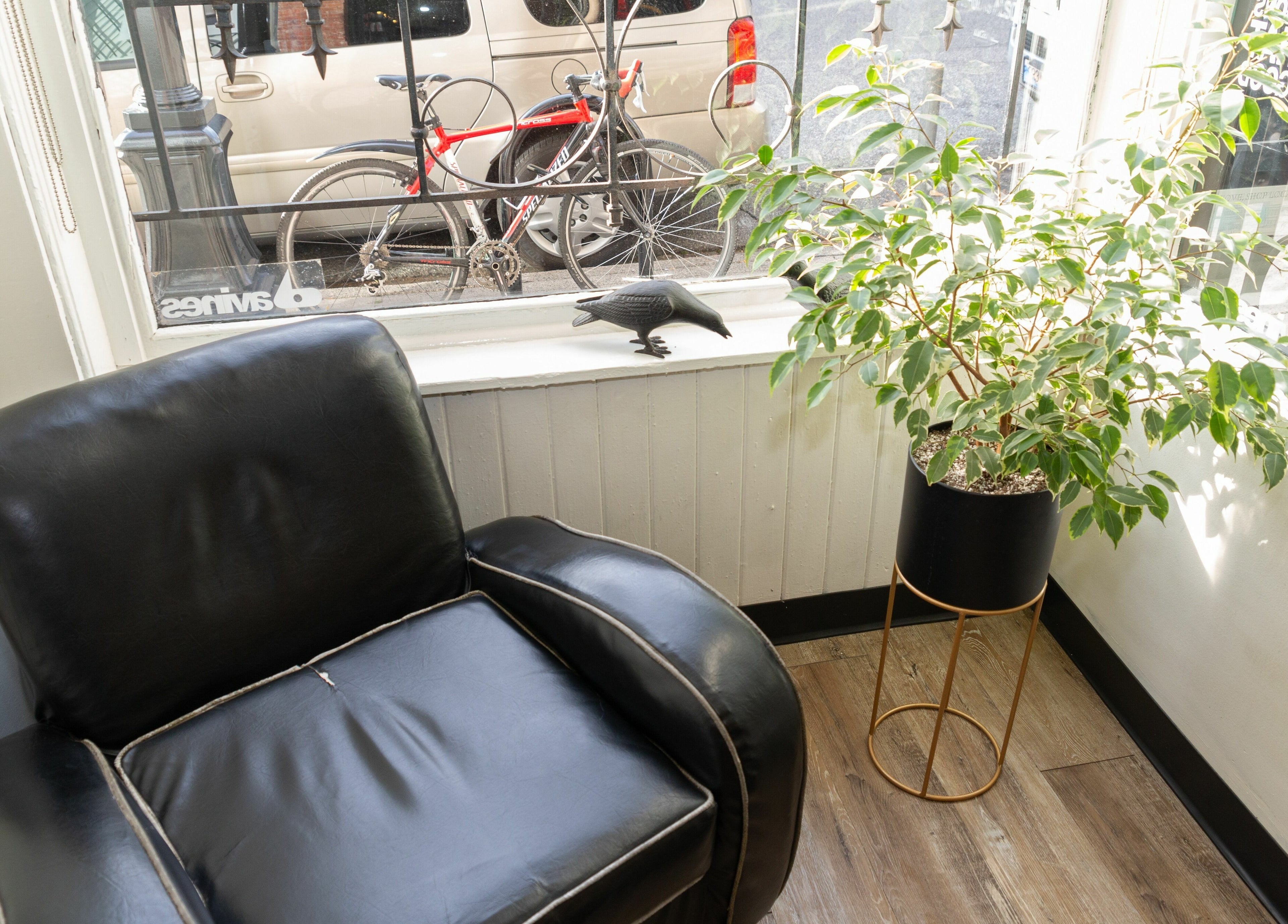 Cozy chair and potted plant by window at Colourbox, Vancouver, British Columbia, CA.