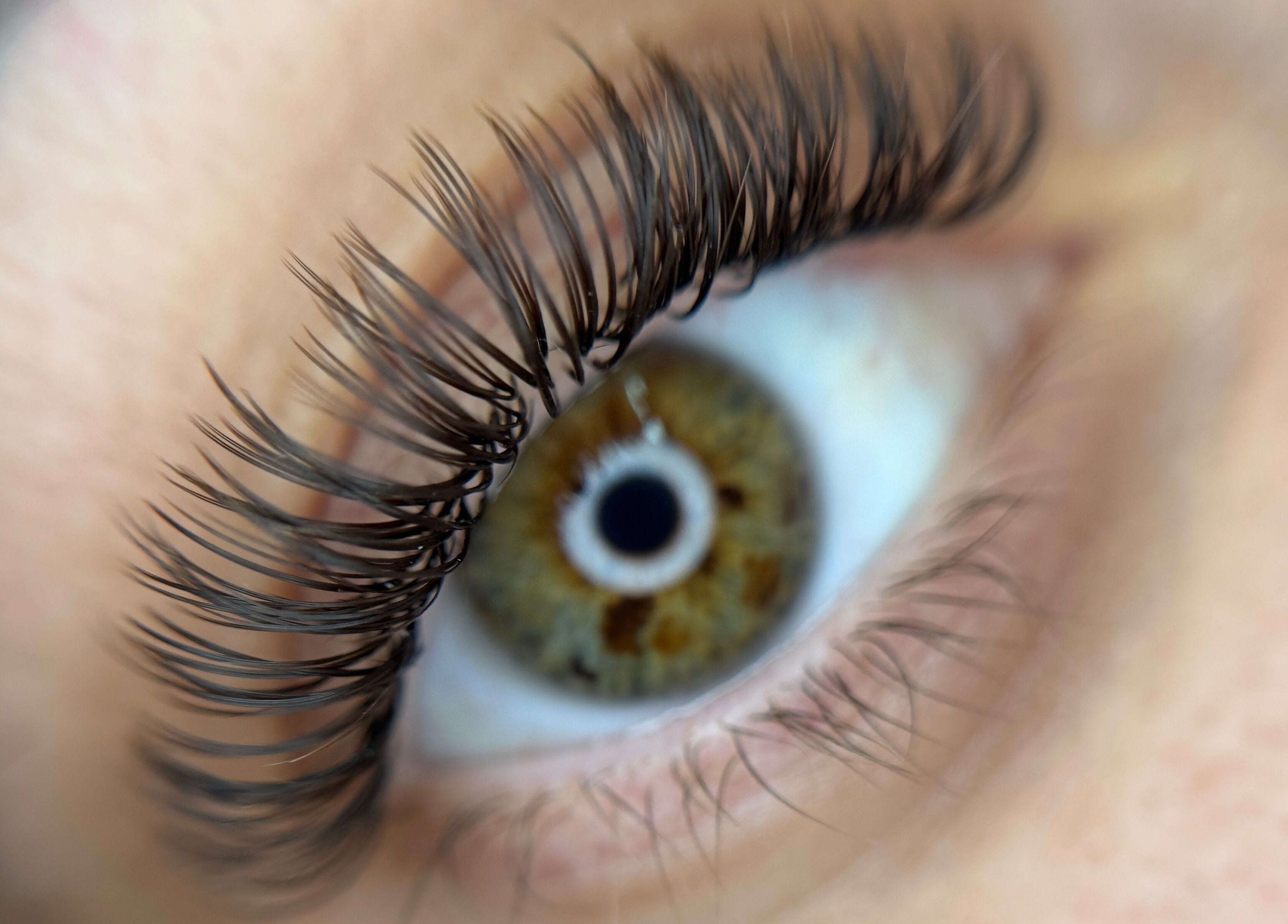 Close-up of glam eyelash extensions at Azure Lashes and Beauty, Paradise, South Australia, AU.