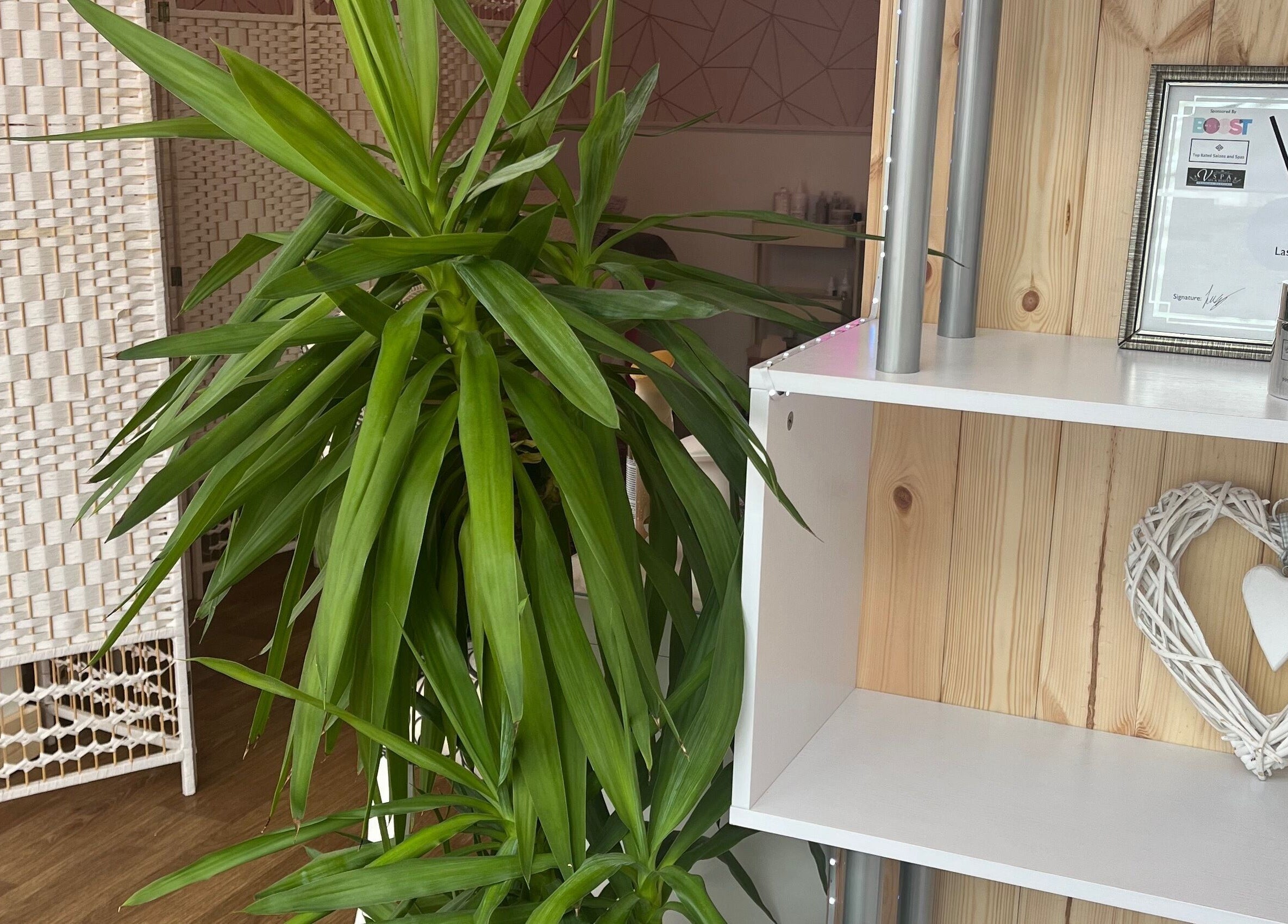 Lush greenery and decor at All About You (Beauty salon and Training academy) in St Austell, England, GB.