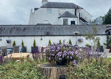 Charming garden view at The Retreat New Forest, Christchurch, Dorset, GB showcasing vibrant flowers.