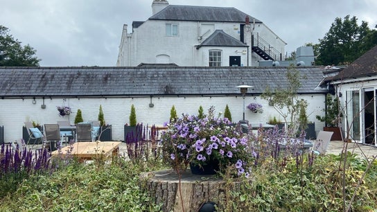 The Retreat New Forest 3