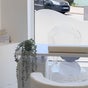 Bellissima Studios