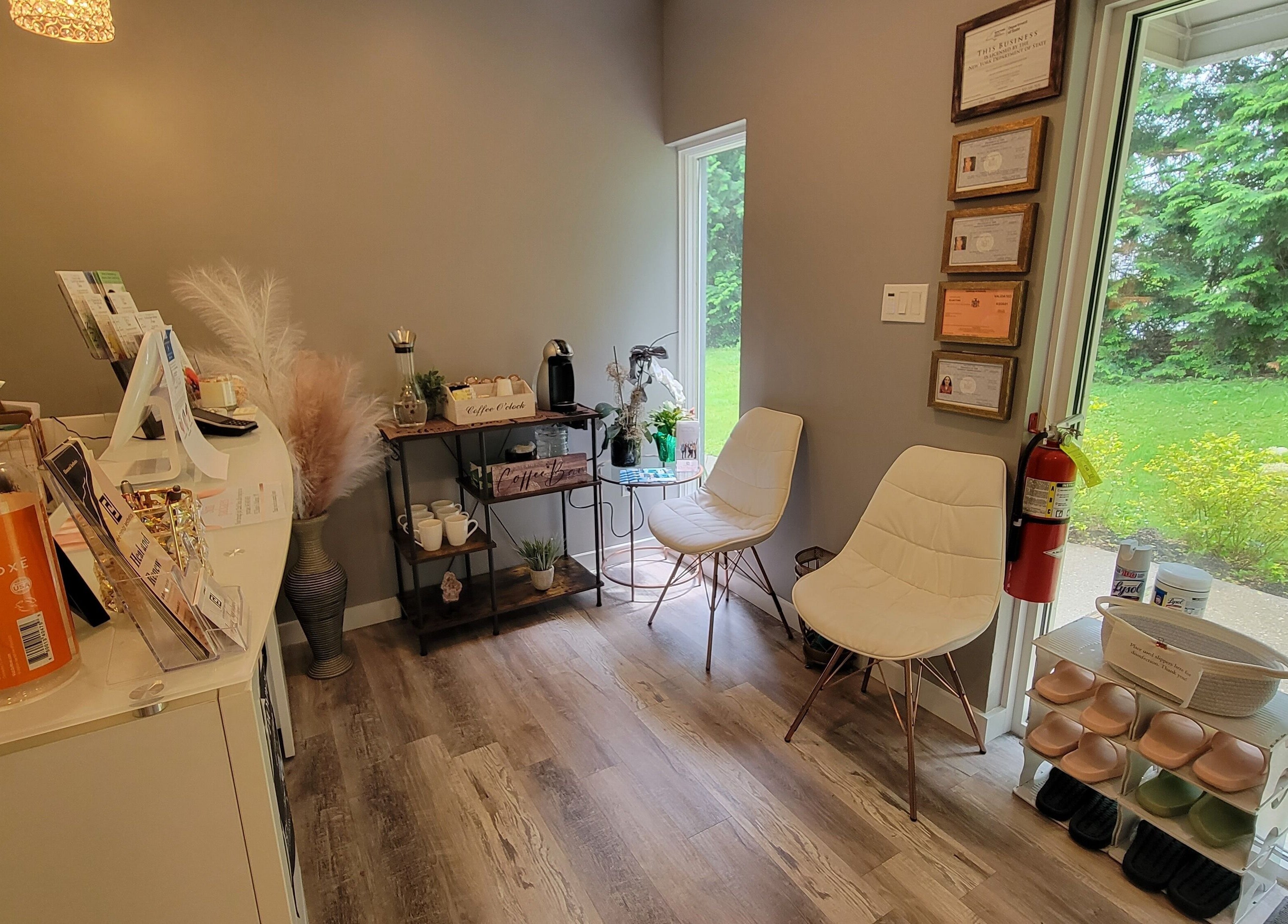 Cozy seating in Elemental Aesthetics, Mahopac, New York with certifications and greenery view.