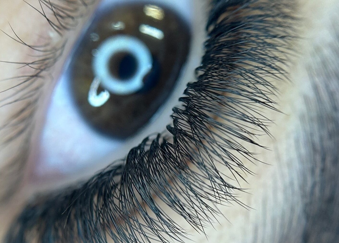Close-up of detailed eyelash extension at Willow and Sage Beauty, Moss Vale, New South Wales, AU.