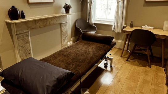 TCM Practice Acupuncture at Canonbury Natural Health Clinic