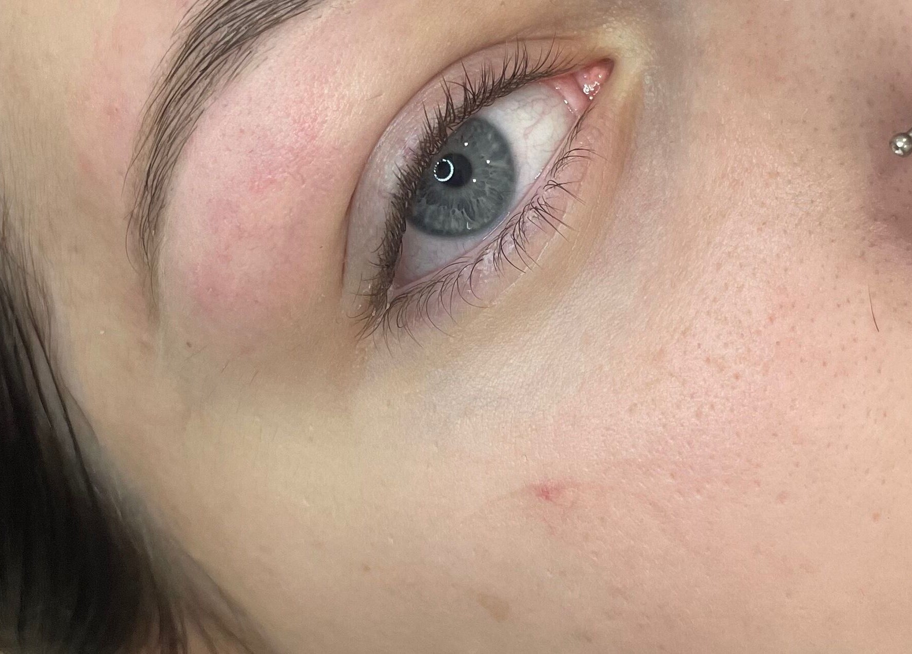 Close-up of well-groomed eyebrow and eye at Killa Arch in Laidley, Queensland, AU.