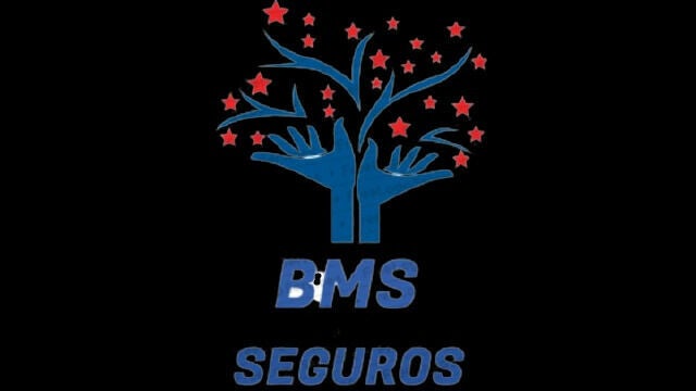 BMS Seguros - 1