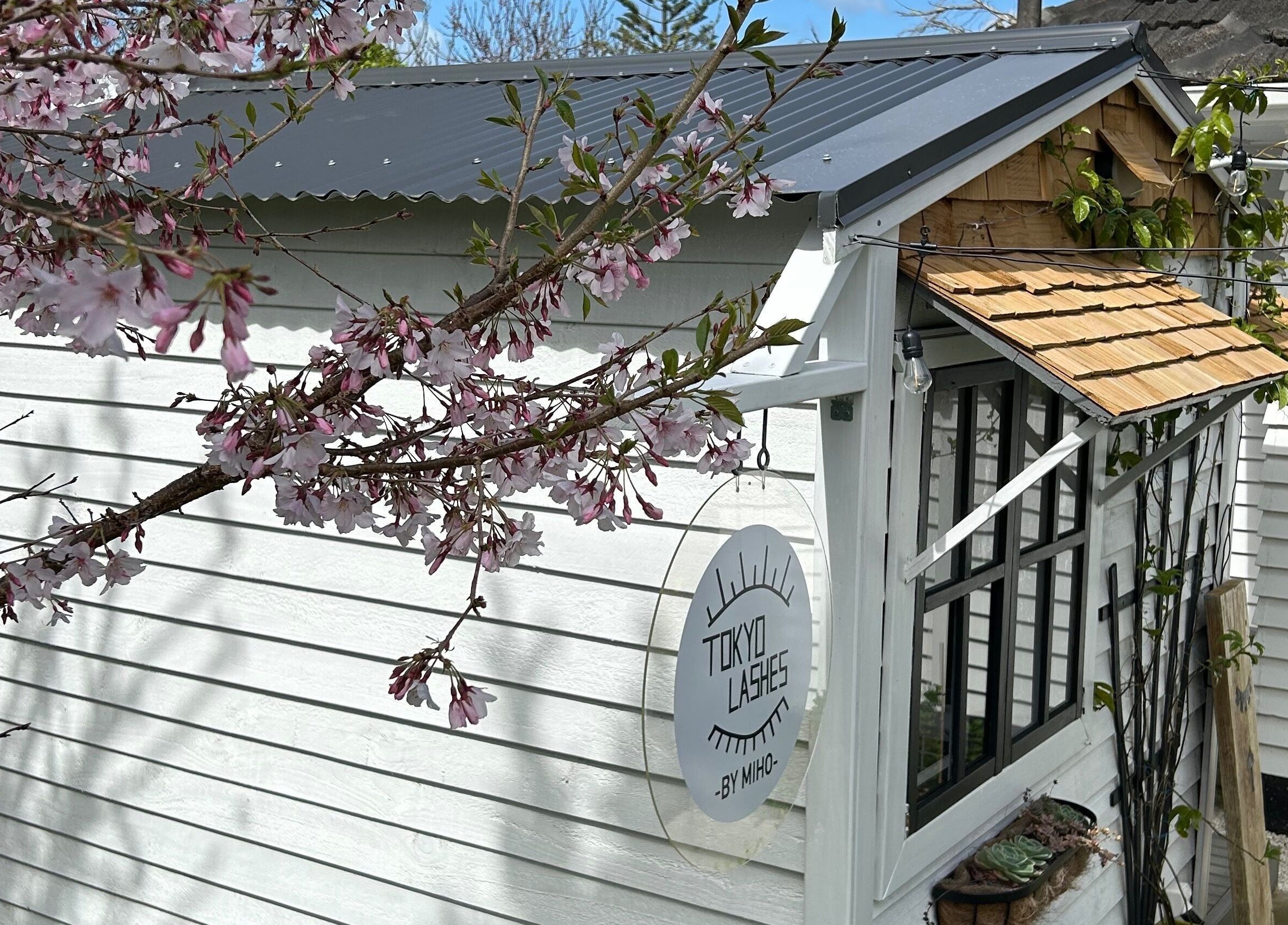 Charming exterior of The Lash Hub in Auckland, NZ with blooming cherry blossoms and rustic decor.