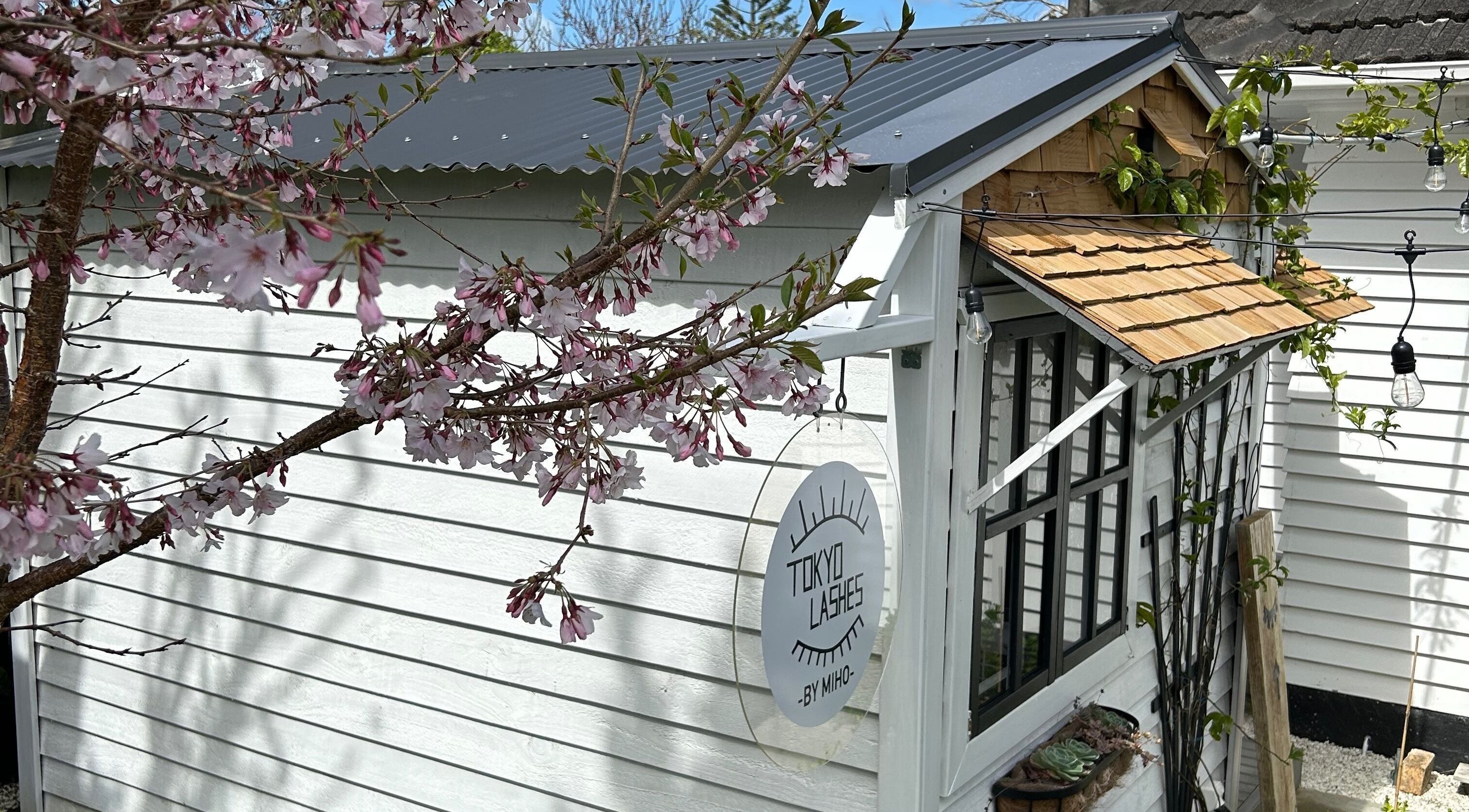 Charming exterior of The Lash Hub in Auckland, NZ with blooming cherry blossoms and rustic decor.