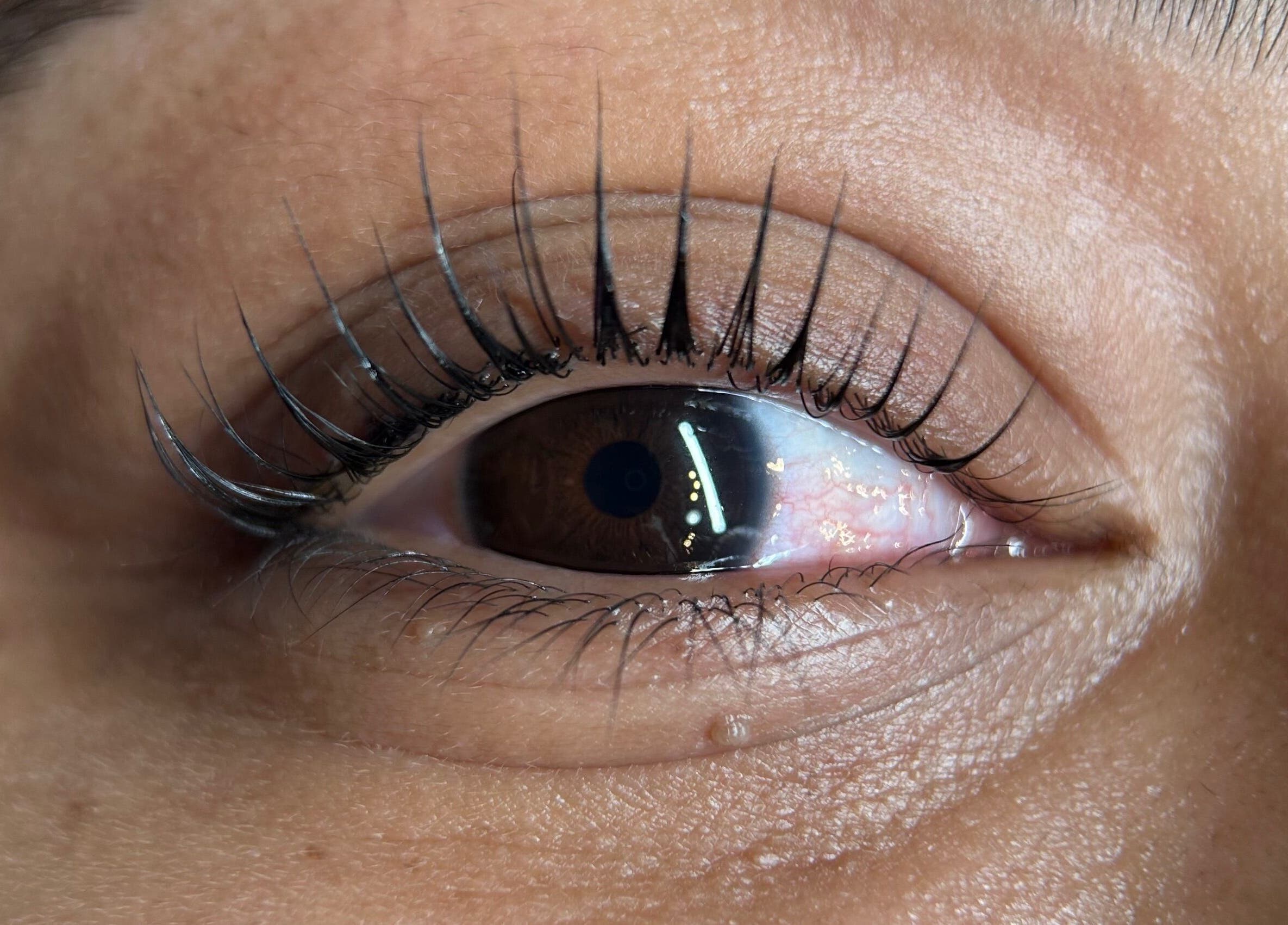 Close-up of enhanced lashes at Kglowstudio, London, England, GB showcasing beauty and precision.