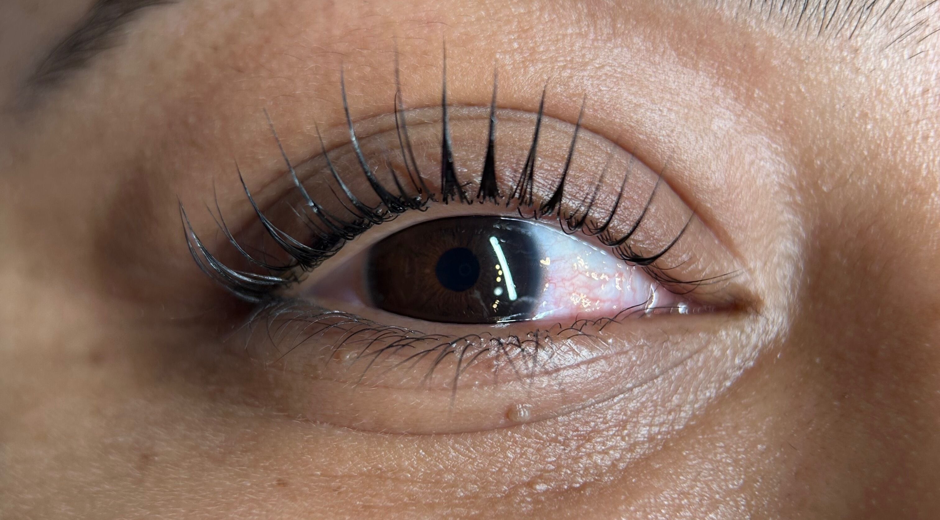 Close-up of enhanced lashes at Kglowstudio, London, England, GB showcasing beauty and precision.