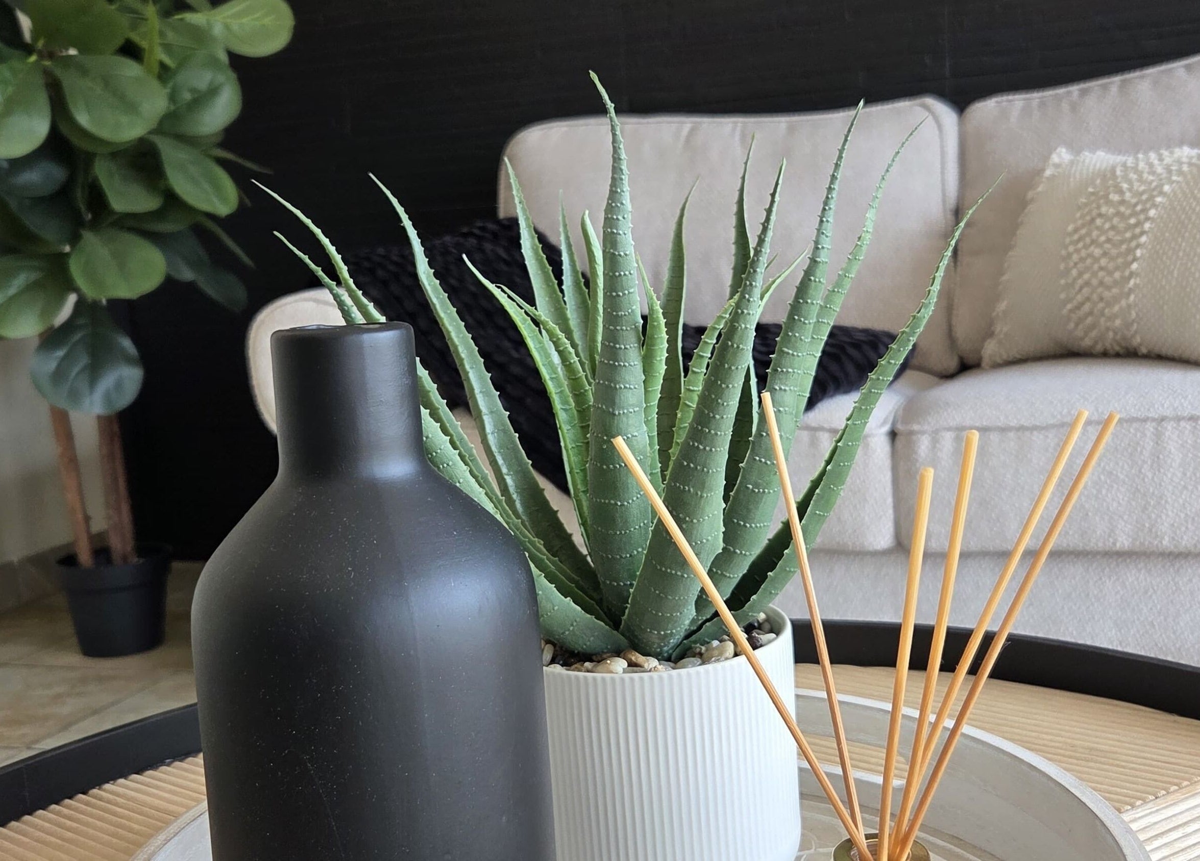 Elegant lounge with plants and decor at EM Aesthetics Potchefstroom, Potchefstroom, North West, ZA, creating serenity.