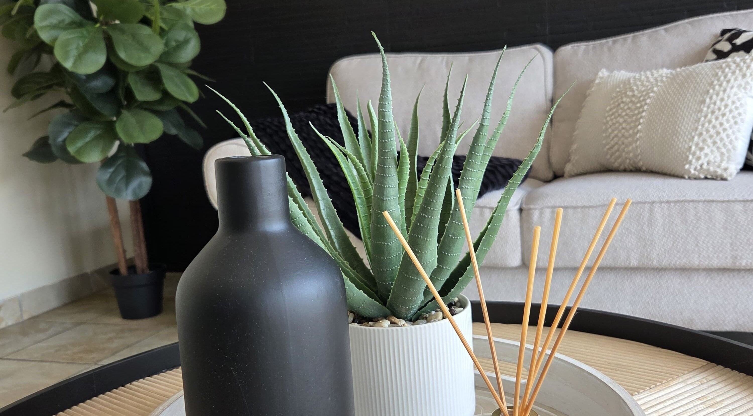 Elegant lounge with plants and decor at EM Aesthetics Potchefstroom, Potchefstroom, North West, ZA, creating serenity.