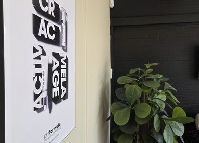 Minimalist decor at EM Aesthetics Potchefstroom, Potchefstroom, North West, ZA, showcasing botanical art.
