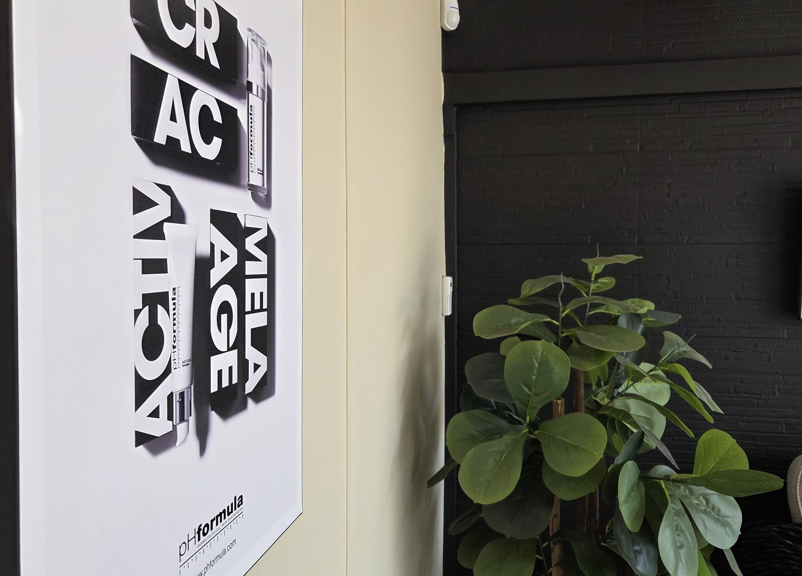 Minimalist decor at EM Aesthetics Potchefstroom, Potchefstroom, North West, ZA, showcasing botanical art.