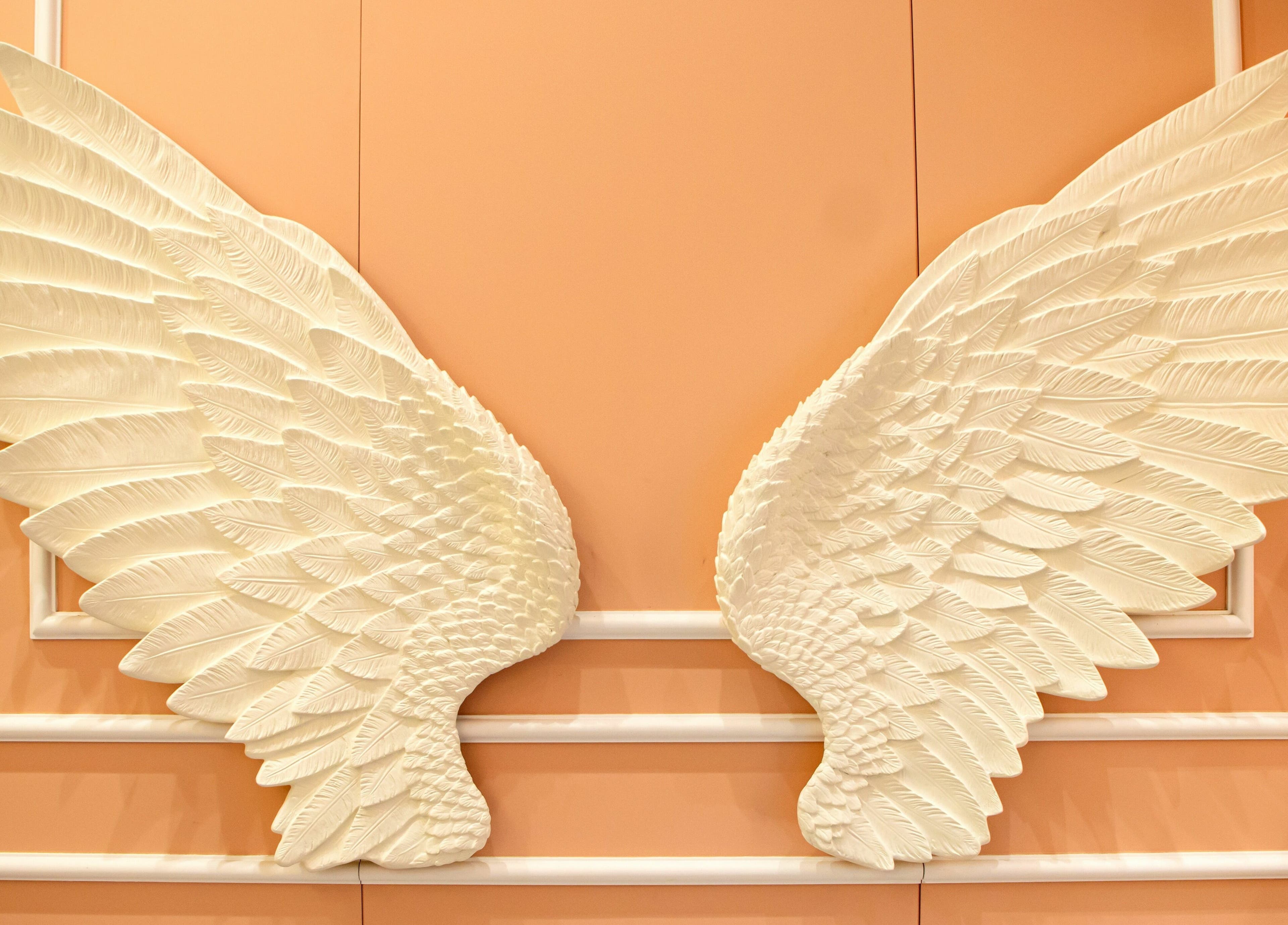 Decorative white wings on a peach wall at UB Beauty, Dubai, AE, showcasing elegance and style.