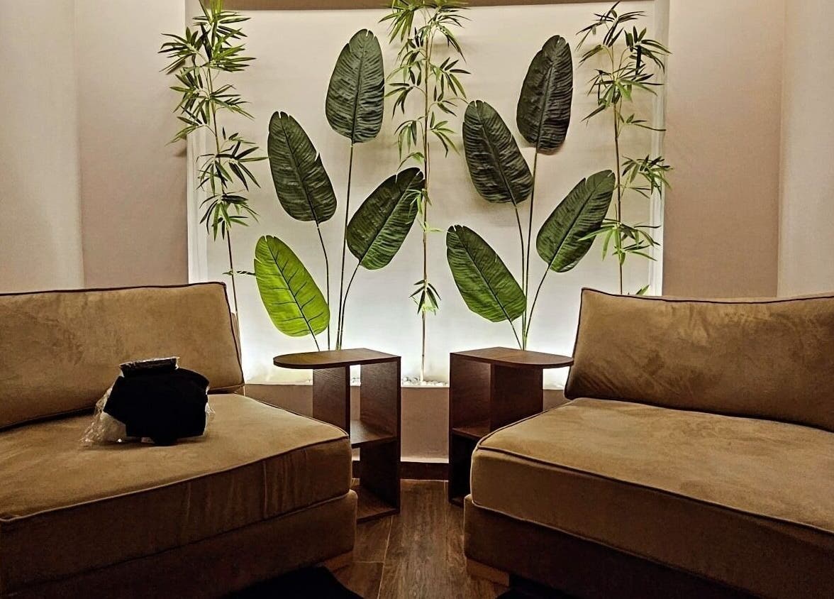 Espace détente avec plantes au ZAHA Hammam & Spa Casablanca, situé à Casablanca, Casablanca-settat, MA.