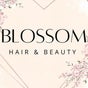 Blossom Hair & Beauty