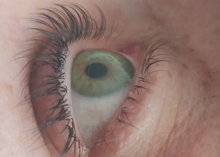 Close-up of an eye showcasing lash extensions at Tips To Toes Cabin, Holmewood, England, GB.