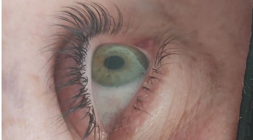 Close-up of an eye showcasing lash extensions at Tips To Toes Cabin, Holmewood, England, GB.