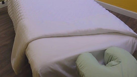 The Healing Sunflower Massage and Wellness - Elmhurst