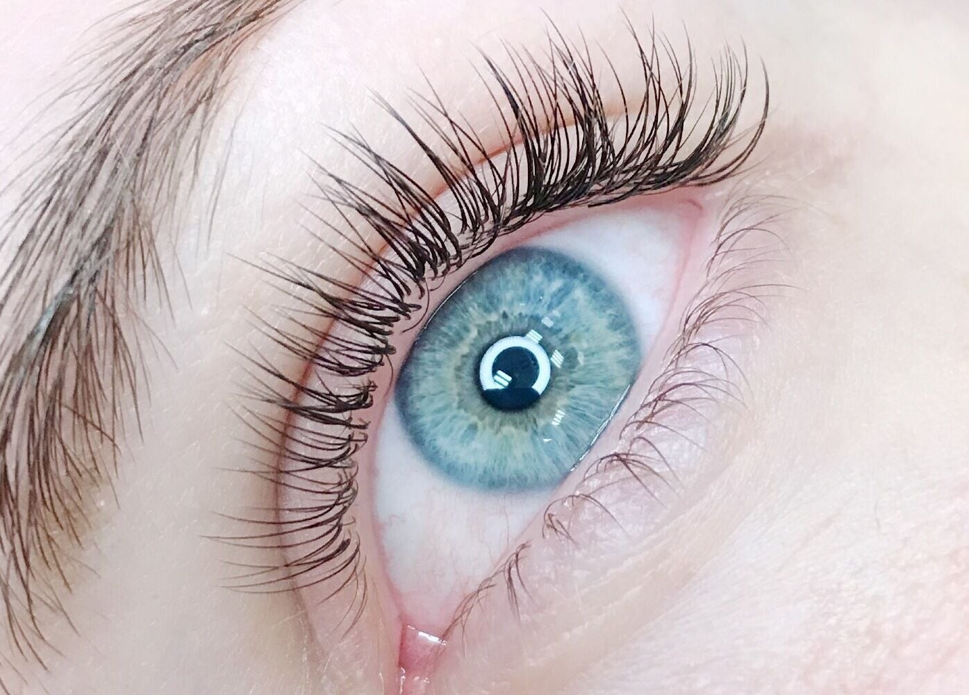 Close-up of styled lashes at Capital Lashes, Kingston, Australian Capital Territory, AU.