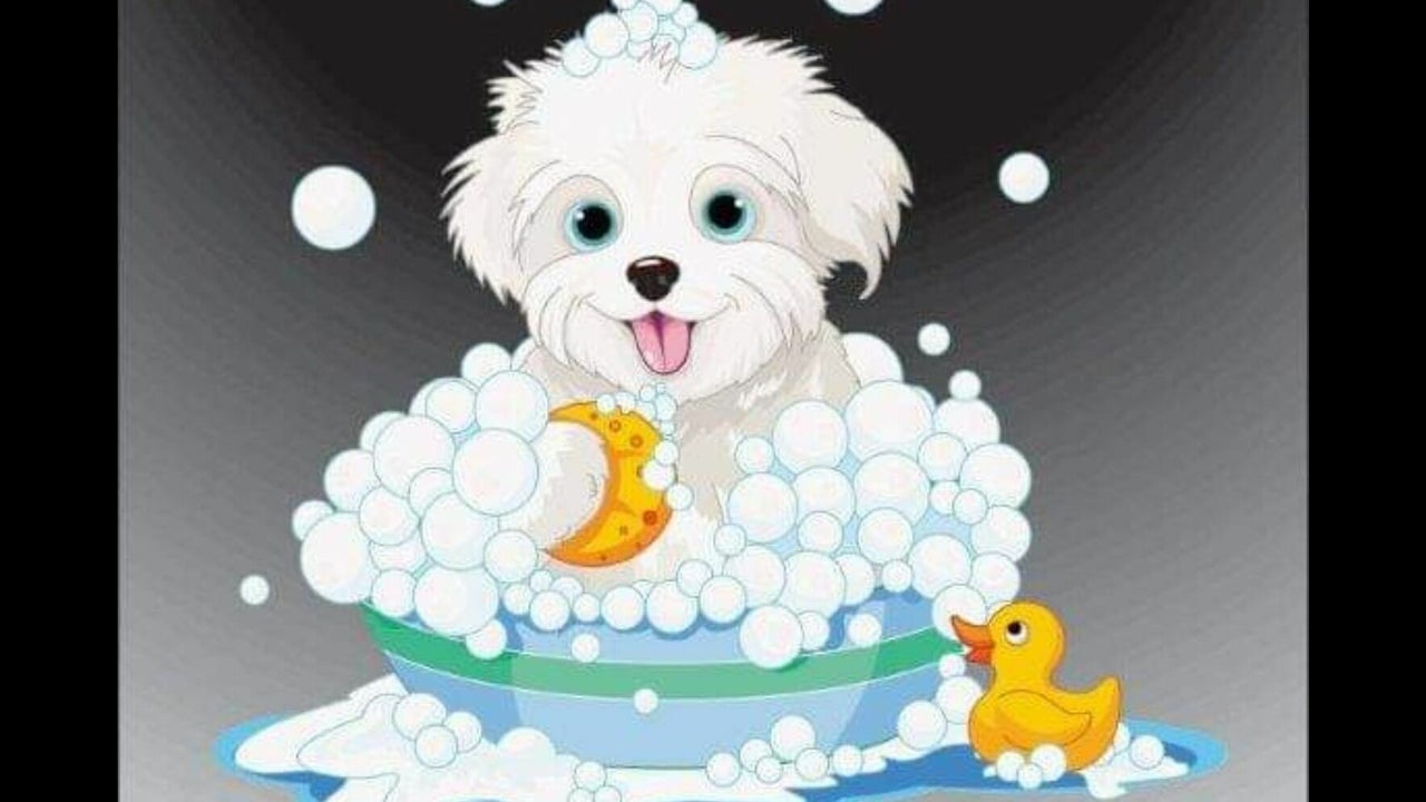 Shonas Clip n Dip 11 Estate Grove Inglewood Fresha