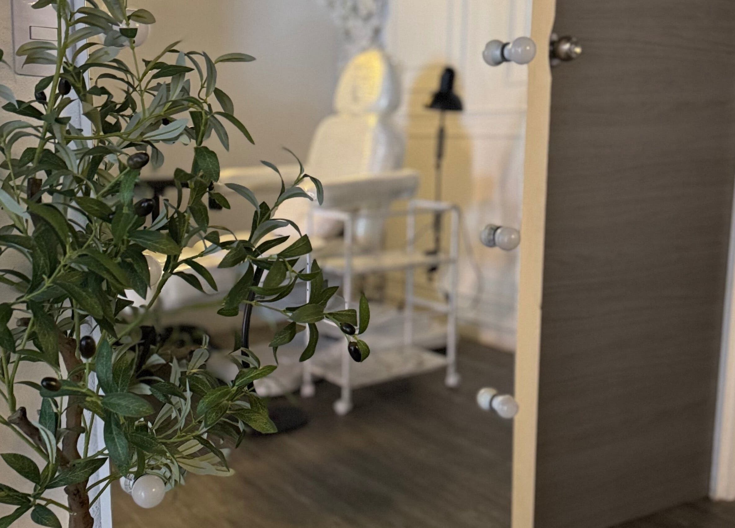 Interior de Glamour Beauty Lab & Spa, Valle de Bravo, MX con silla y planta decorativa.