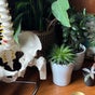 The Talking Body Clinic - Park Lane House, 47 Broad Street, 1/17, Bridgeton, Glasgow, Scotland