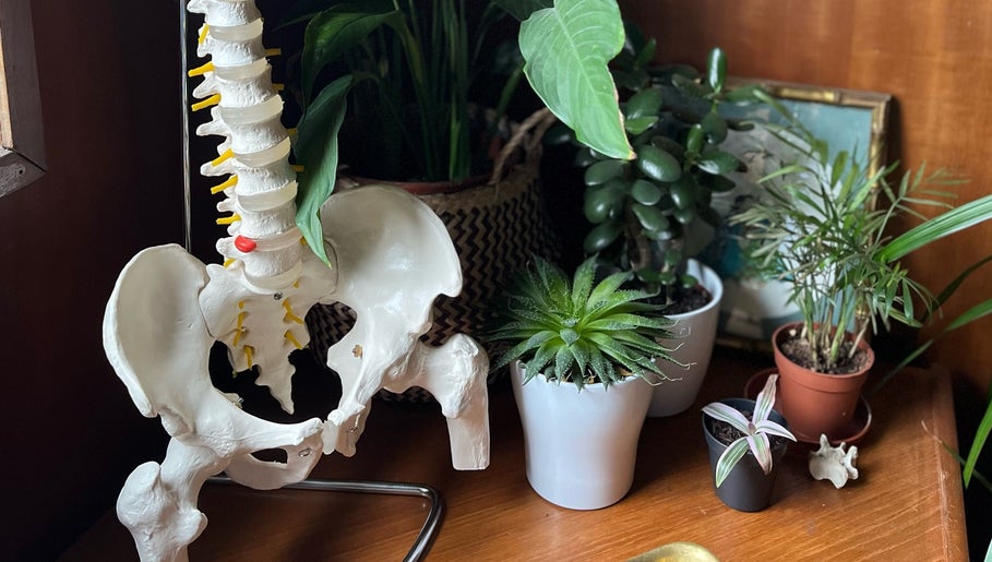 The Talking Body Clinic, bilde 1