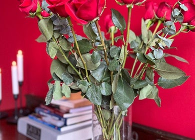 Elegant roses in a vase at The Talking Body Clinic, Glasgow, Scotland, GB on a rich red backdrop.