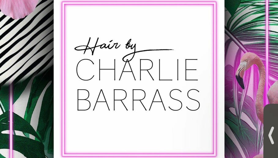 Hair By Charlie Barrass – obraz 1